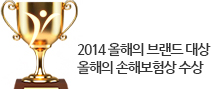2014 올해의 브랜드 대상 올해의 손해보험상 수상
